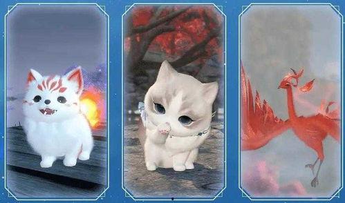 逆水寒萌宠最新爆料,神秘宠物即将亮相，带你领略江湖萌趣