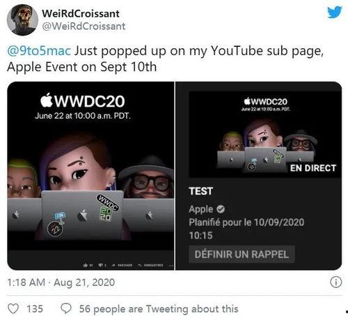 最新爆料官方消息,揭秘重大事件背后真相