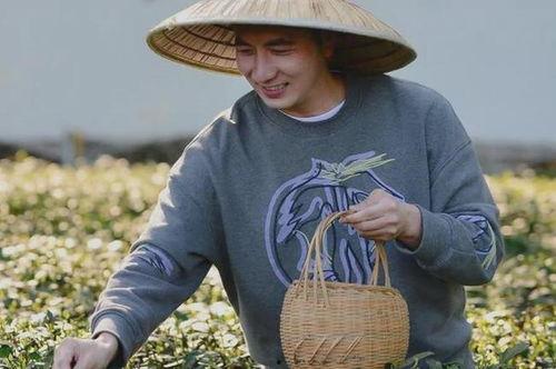 林生斌事件最新视频爆料,真相再起波澜，疑云重重引关注