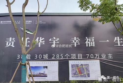 中梁爆料最新消息今天,揭秘行业动态，洞察市场新趋势